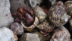 DSC_1026small
