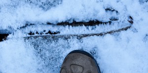 Water that had soaked into  wood - like these bridge planks - came squeezing out in the form of ice crystals