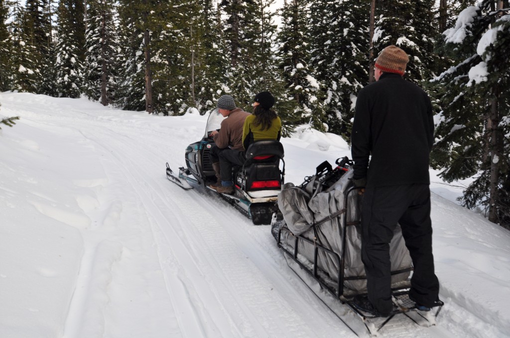 Guests can choose to ride to camp, or snowshoe along the logging road