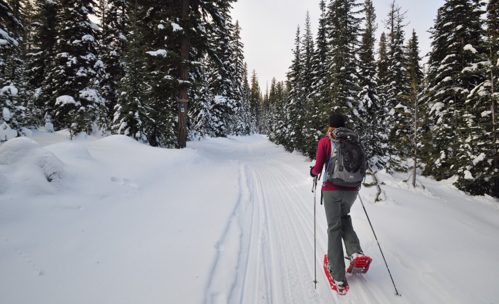 More than 35 miles of well-marked trails are open game for visitors to explore on skis and snowshoes  