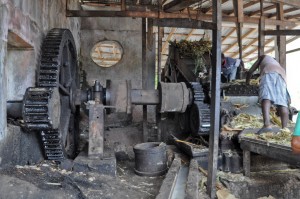 The inner workings of the water powered rum distillery. Notice the lovely juice draining from the crusher.  