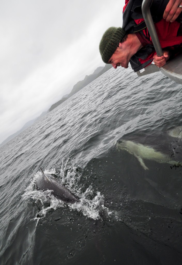 During our explorations we encountered about 100 dolphins who played off our bow.  We were so close, they would spray our faces when they surfaced.