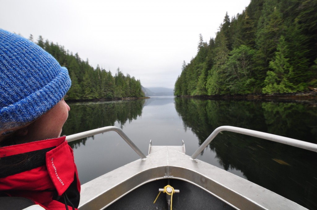 A labyrinth of islands like these make up much of The Great Bear Rainforest