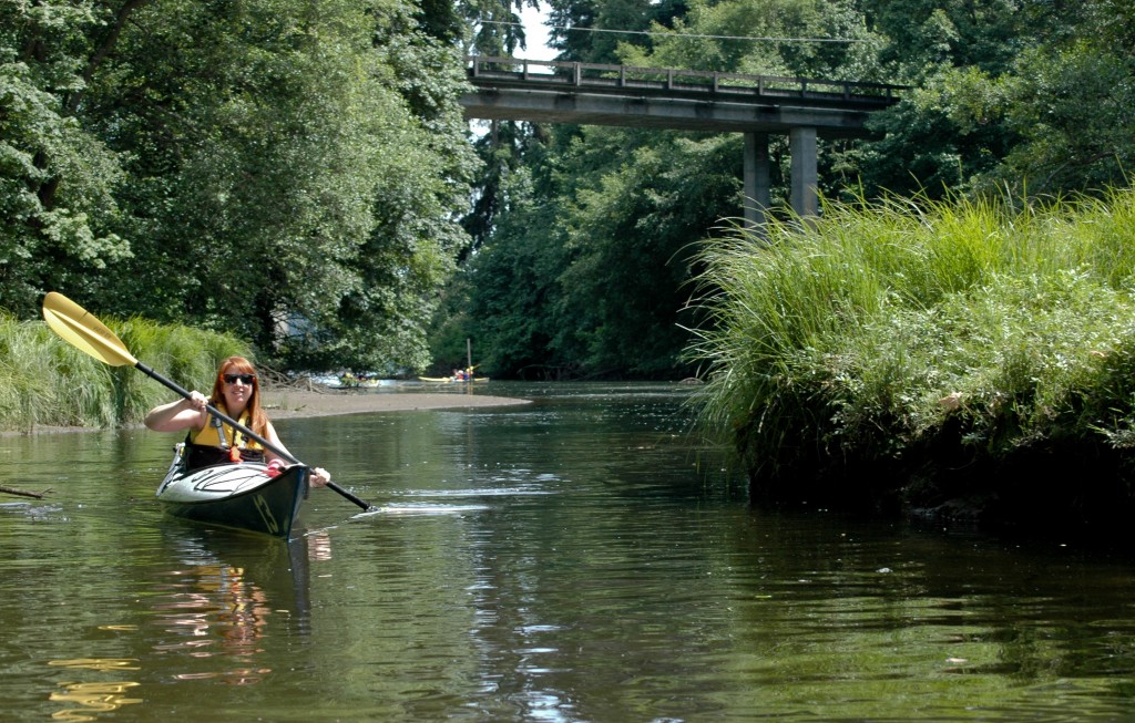 Paddling up Judd Creek has a post-apocalyptic feel to it  