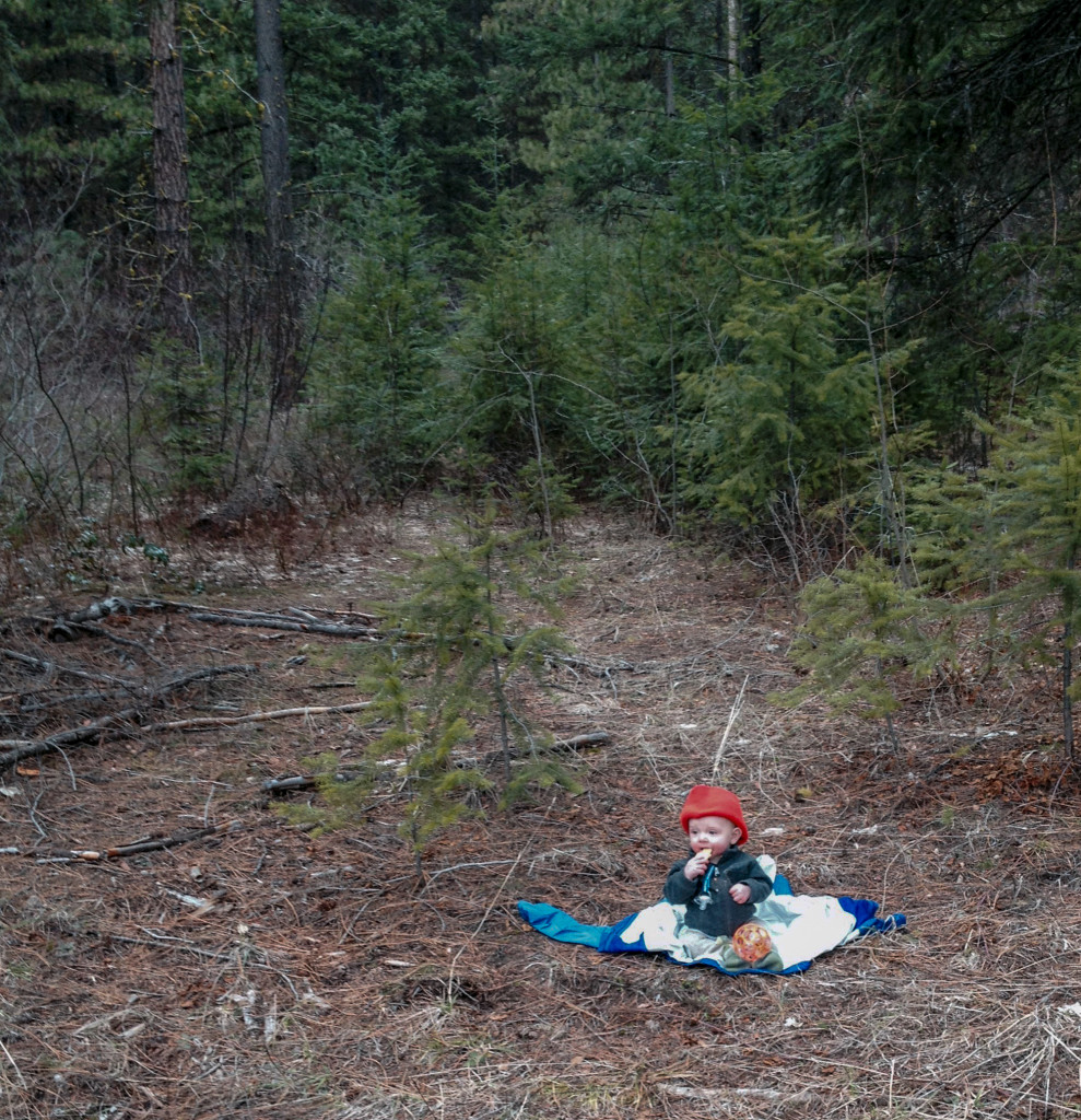 Ian's First Day of Work as a Lumberjack