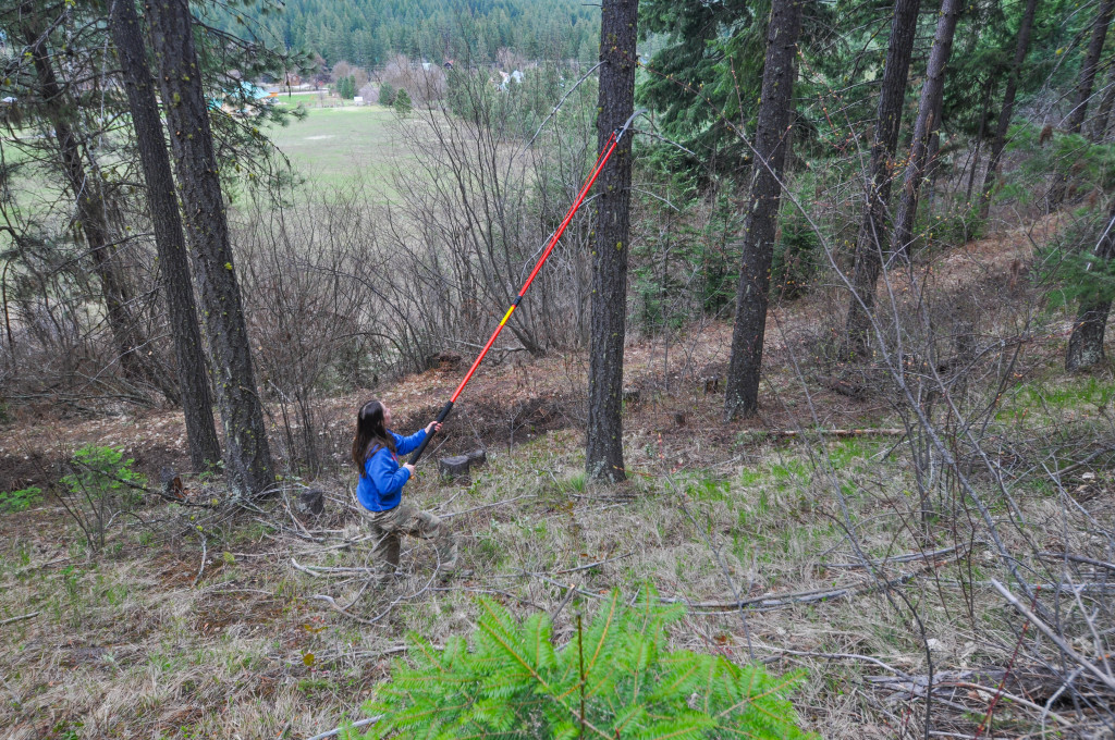 Amanda's Birthday Present was a Pole Trimmer - But She Quickly Named it "The Torture Tool."