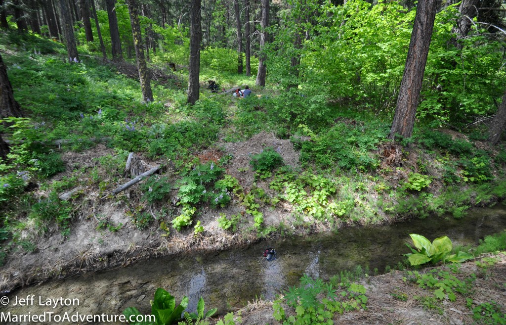 Trying out a new campsite.  This is about where we want our cabin's front deck 