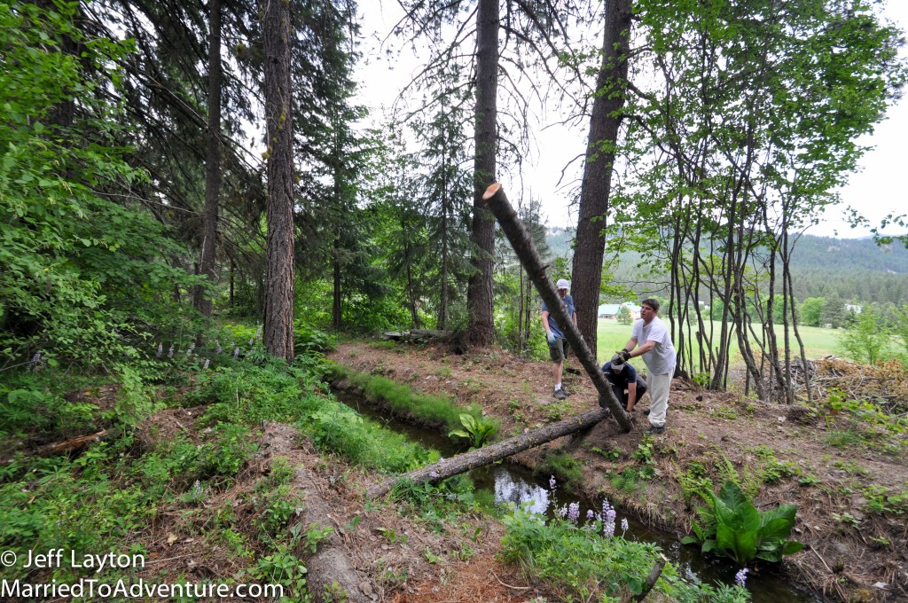 Using fallen timber from the property, we have plenty of timber to span The Little Chiwawa River.