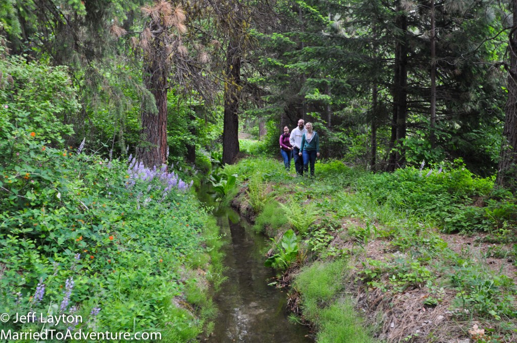 Searching for wildflowers along The Little Chiwawa with Bailey and Kyle