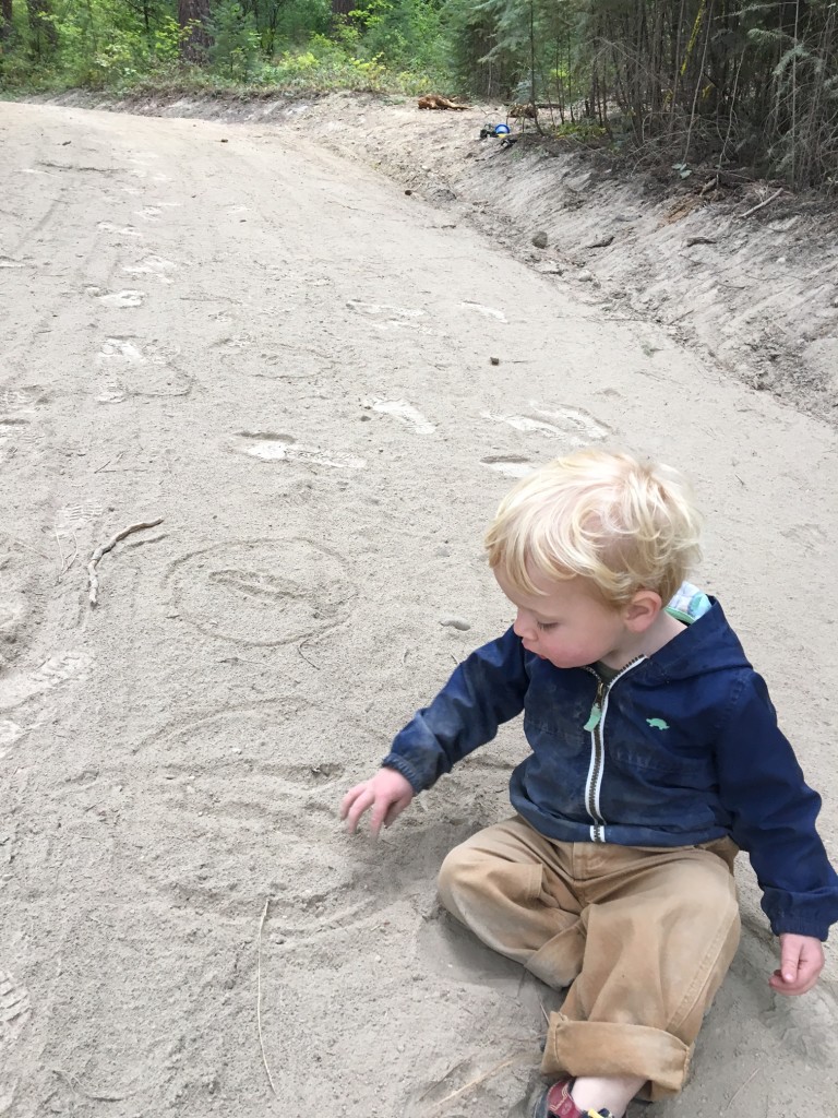 Teaching Ian how to spot tracks in along our new driveway